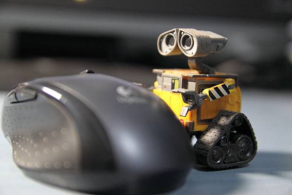 IMG_8934.JPG IMG_8934.JPG