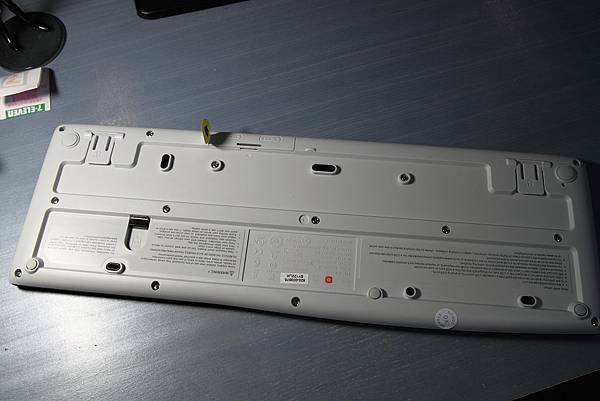 IMG_8936.JPG IMG_8936.JPG