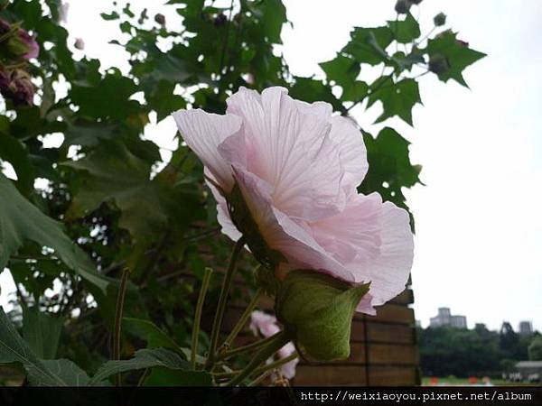 P1120089 (640x480).jpg