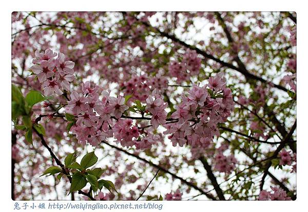 IMG_7188-1.jpg IMG_7188-1.jpg