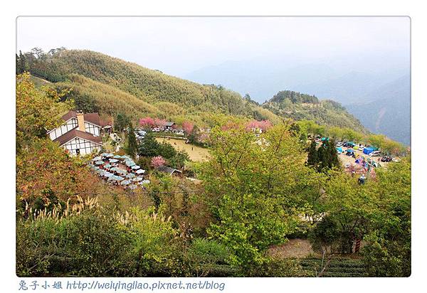 IMG_7202-1.jpg IMG_7202-1.jpg