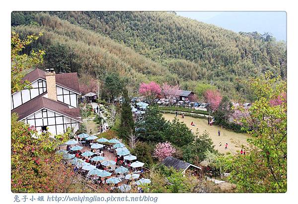 IMG_7204-1.jpg IMG_7204-1.jpg