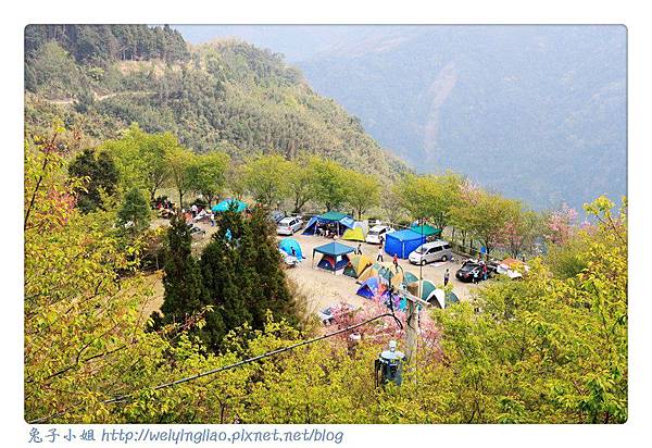 IMG_7205-1.jpg IMG_7205-1.jpg