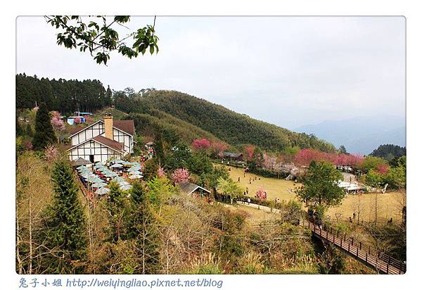 IMG_7208-1.jpg IMG_7208-1.jpg