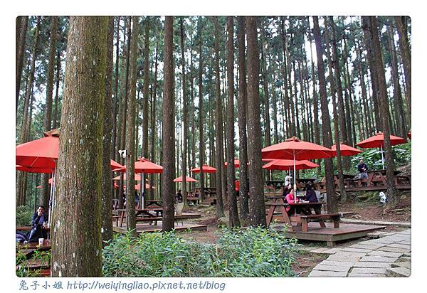 IMG_7227-1.jpg IMG_7227-1.jpg