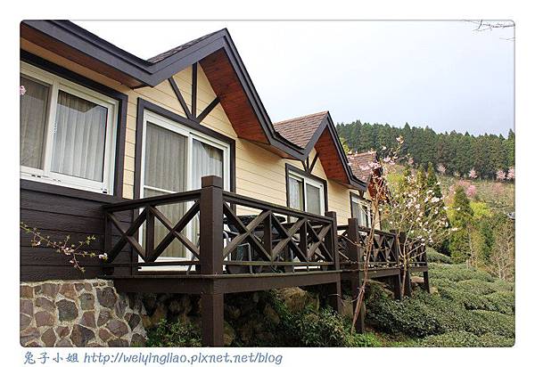 IMG_7232-1.jpg IMG_7232-1.jpg