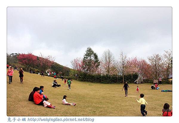 IMG_7241-1.jpg IMG_7241-1.jpg