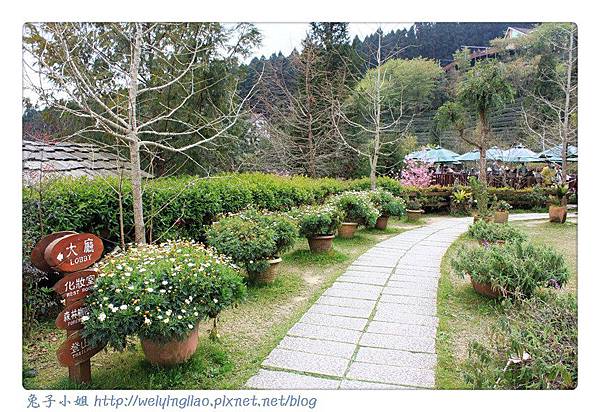 IMG_7243-1.jpg IMG_7243-1.jpg