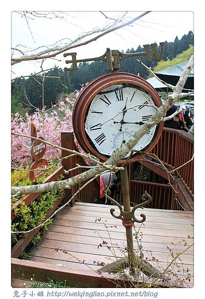 IMG_7248-1.jpg IMG_7248-1.jpg