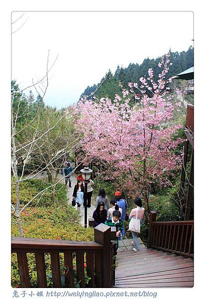 IMG_7250-1.jpg IMG_7250-1.jpg