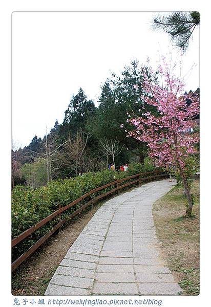 IMG_7257-1.jpg IMG_7257-1.jpg