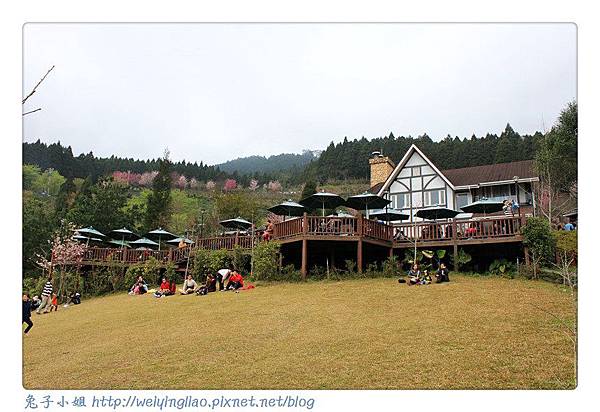 IMG_7264-1.jpg IMG_7264-1.jpg