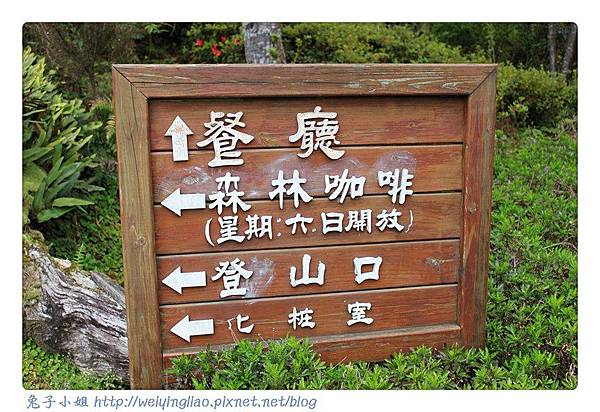 IMG_7262-1.jpg IMG_7262-1.jpg