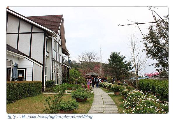 IMG_7289-1.jpg IMG_7289-1.jpg