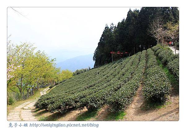 IMG_7300-1.jpg IMG_7300-1.jpg