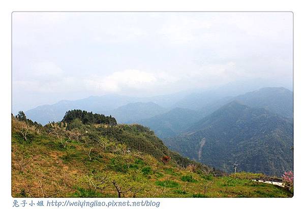 IMG_7309-1.jpg IMG_7309-1.jpg