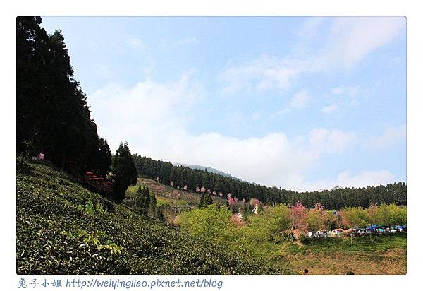 IMG_7316-1.jpg IMG_7316-1.jpg