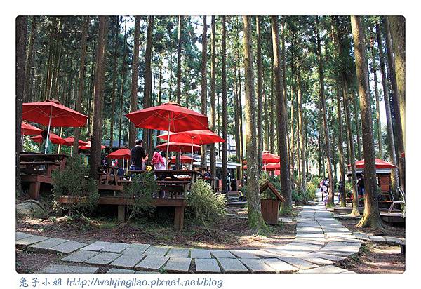 IMG_7331-1.jpg IMG_7331-1.jpg