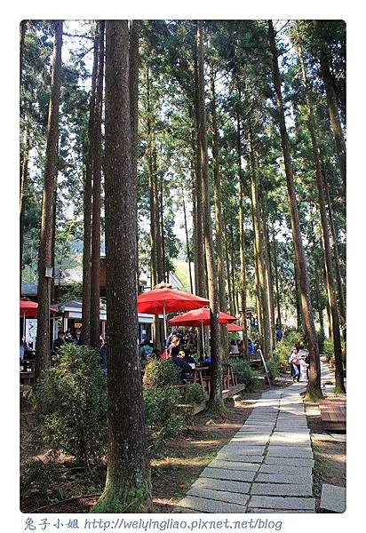 IMG_7334-1.jpg IMG_7334-1.jpg