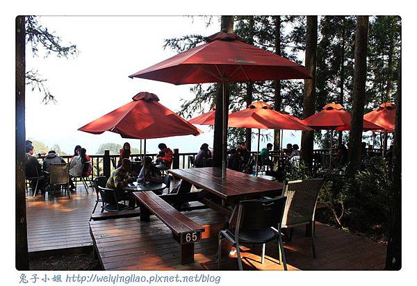 IMG_7335-1.jpg IMG_7335-1.jpg