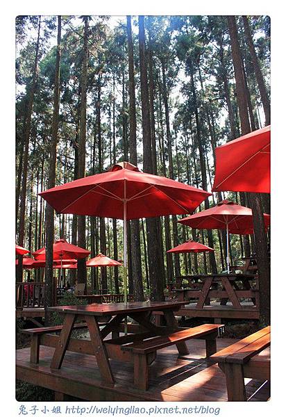 IMG_7341-1.jpg IMG_7341-1.jpg