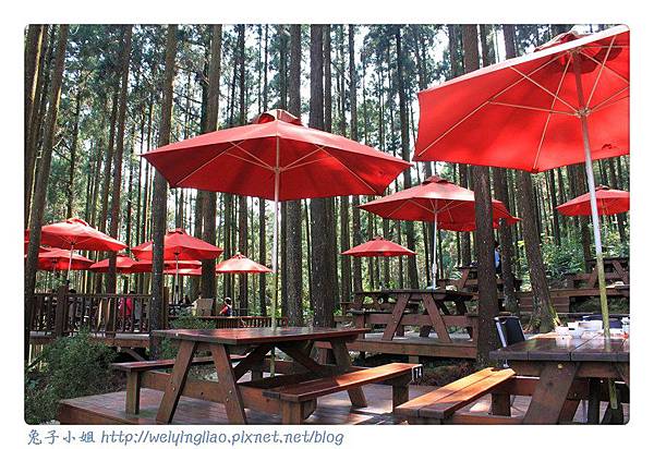 IMG_7342-1.jpg IMG_7342-1.jpg