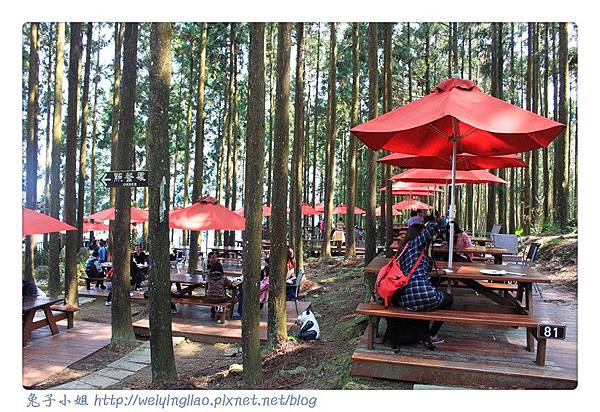 IMG_7345-1.jpg IMG_7345-1.jpg