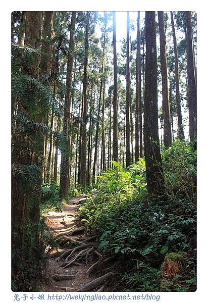 IMG_7351-1.jpg IMG_7351-1.jpg