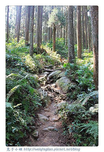 IMG_7352-1.jpg IMG_7352-1.jpg