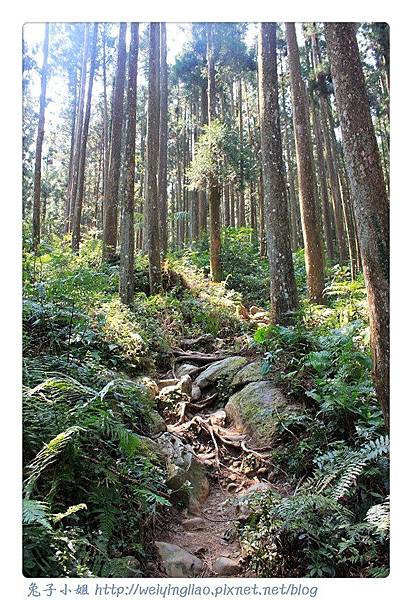 IMG_7353-1.jpg IMG_7353-1.jpg