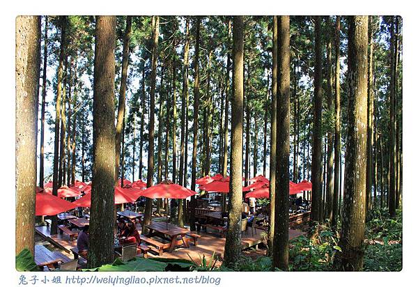 IMG_7356-1.jpg IMG_7356-1.jpg