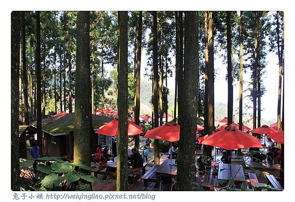 IMG_7358-1.jpg IMG_7358-1.jpg