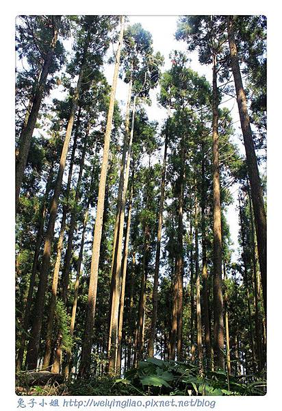 IMG_7361-1.jpg IMG_7361-1.jpg