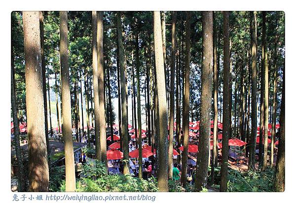 IMG_7360-1.jpg IMG_7360-1.jpg