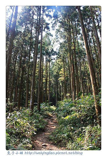 IMG_7363-1.jpg IMG_7363-1.jpg