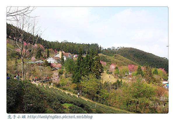 IMG_7365-1.jpg IMG_7365-1.jpg