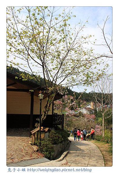 IMG_7368-1.jpg IMG_7368-1.jpg