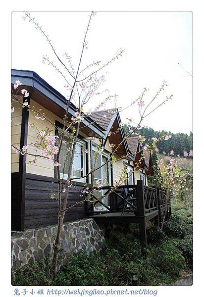 IMG_7370-1.jpg IMG_7370-1.jpg