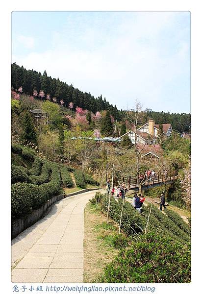 IMG_7387-1.jpg IMG_7387-1.jpg