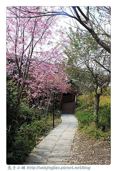 IMG_7388-1.jpg IMG_7388-1.jpg