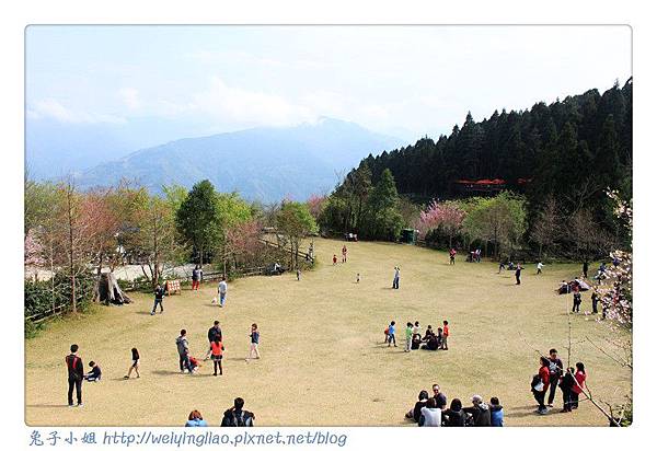 IMG_7394-1.jpg IMG_7394-1.jpg