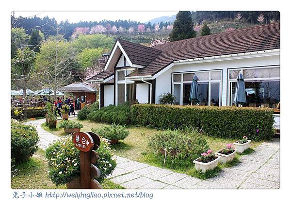 IMG_7402-1.jpg IMG_7402-1.jpg