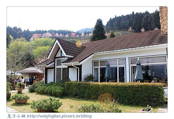 IMG_7406-1.jpg IMG_7406-1.jpg