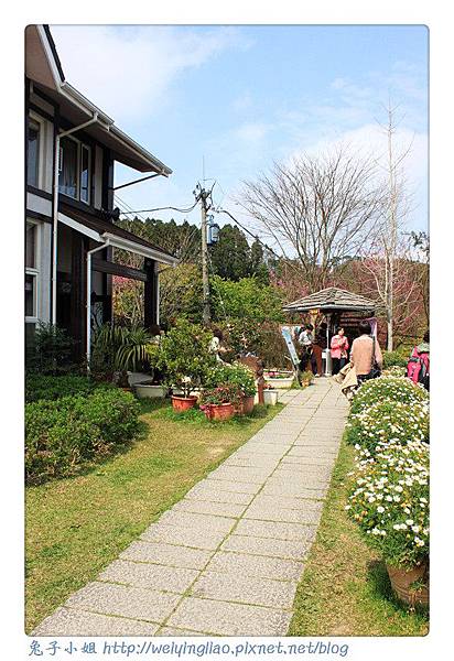 IMG_7408-1.jpg IMG_7408-1.jpg