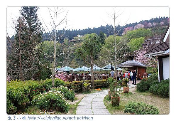 IMG_7464-1.jpg IMG_7464-1.jpg