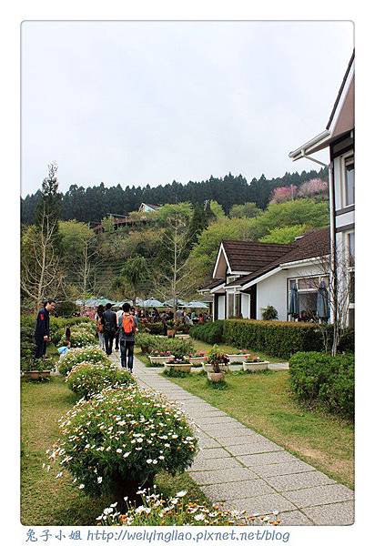 IMG_7474-1.jpg IMG_7474-1.jpg