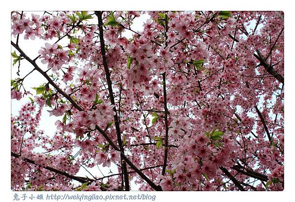 IMG_7477-1.jpg IMG_7477-1.jpg