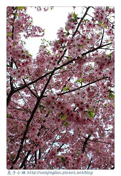 IMG_7478-1.jpg IMG_7478-1.jpg