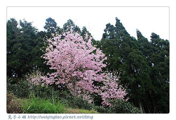 IMG_7481-1.jpg IMG_7481-1.jpg