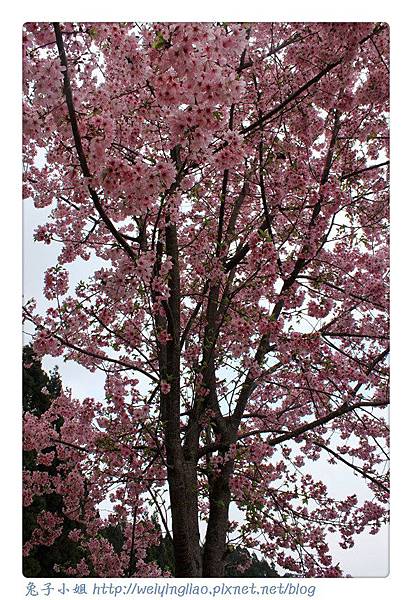 IMG_7483-1.jpg IMG_7483-1.jpg